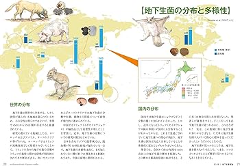 Amazon.co.jp: 地下生菌識別図鑑: 日本のトリュフ。地下で進化した