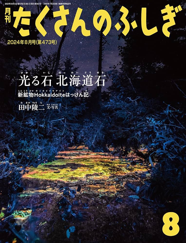 光る石 北海道石 新鉱物Hokkaidoiteはっけん記 (たくさんのふしぎ2024