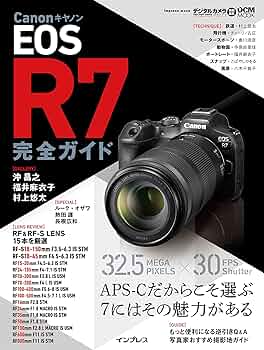 817-bMtXhEL._AC_UF350,