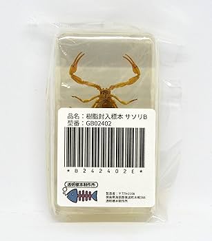 817oUMBZFJL._AC_UF350,