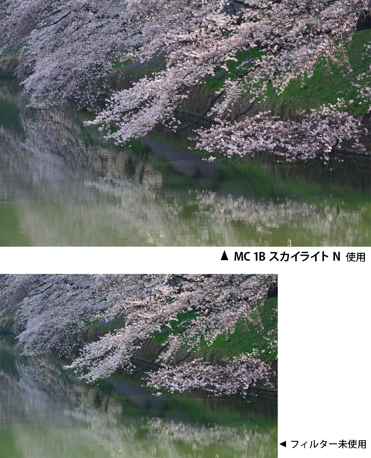 Amazon.co.jp: Kenko レンズフィルター MC 1Bスカイライト N 62mm