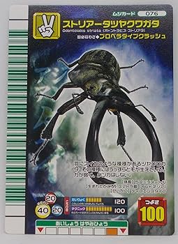 Amazon | 【076-2007 ファースト】ストリアータツヤクワガタ／甲虫王者