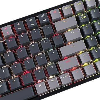 Amazon.com: Keychron K4 RGB Hot Swappable Mechanical Keyboard, 96