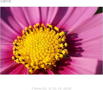 Amazon.co.jp: SONY 単焦点レンズ E 30mm F3.5 Macro ソニー Eマウント