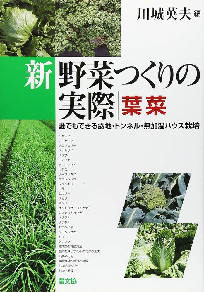 新野菜つくりの実際 葉菜: 誰でもできる露地・トンネル・無加温ハウス