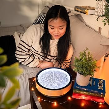 Amazon.co.jp: Oasis ミニキネティックサンドアート 本物の竹 禅