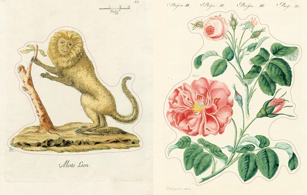 Amazon | John Derian Sticker Book II | Derian, John | Crafts & Hobbies