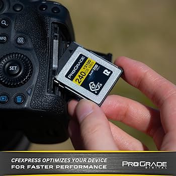 Amazon.com: ProGrade Digital Memory Card - CFexpress 4.0 Type B
