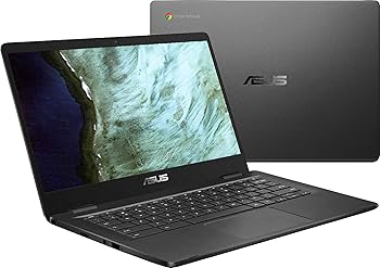 Amazon.com: Asus Chromebook C423NA-BCLN5 14