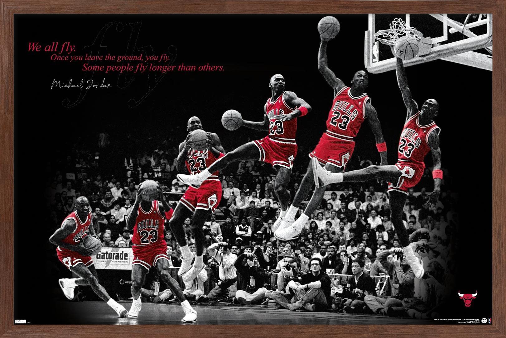 Amazon.com: Trends International Michael Jordan - Fly Wall Poster