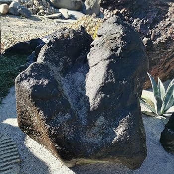 Amazon.co.jp: 鳥海石408キロ庭石鑑賞石石盆石水石灯籠庭坪庭盆栽