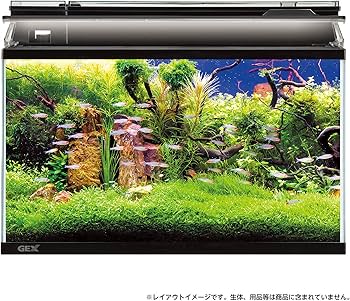 Amazon | ジェックス マリーナ幅60cm水槽 MR600BKST | GEX | 水槽 通販