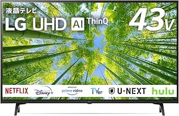 81-sTXWnODL._AC_UF350,