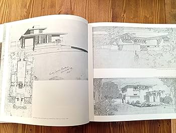 81-rBtfvcXL._AC_UF350,