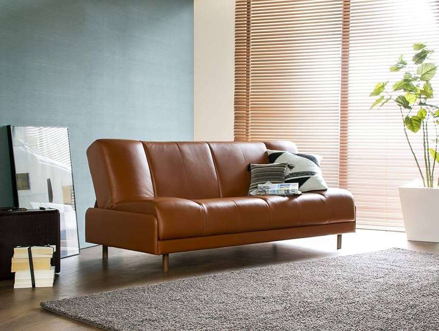 Amazon.co.jp: 【フランスベッド正規品】 ソファベッド テラ(ブラウン