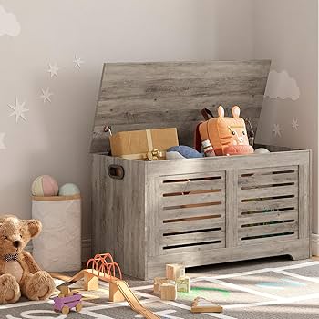 Amazon.com: DINZI LVJ Storage Chest, Flip-Top Wooden Toy Box with