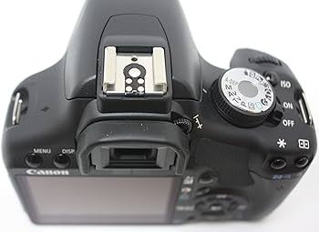 810cQwLdBNL._AC_UF350,