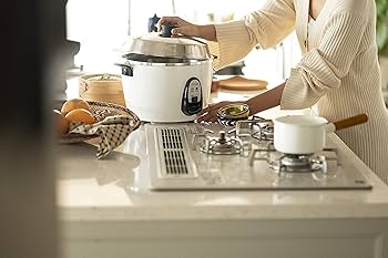 Amazon | 【電源コードついてるタイプ】大同電鍋(電気釜) 炊飯器 10合