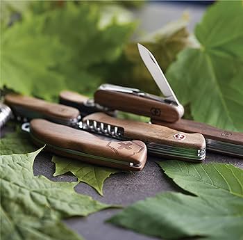 Amazon | VICTORINOX(ビクトリノックス) エボリューション ウッド 17