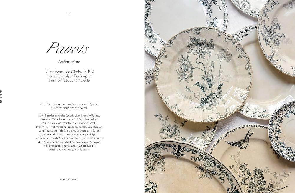 Terre de fer: Collections de céramique française : BLANCHE PATINE