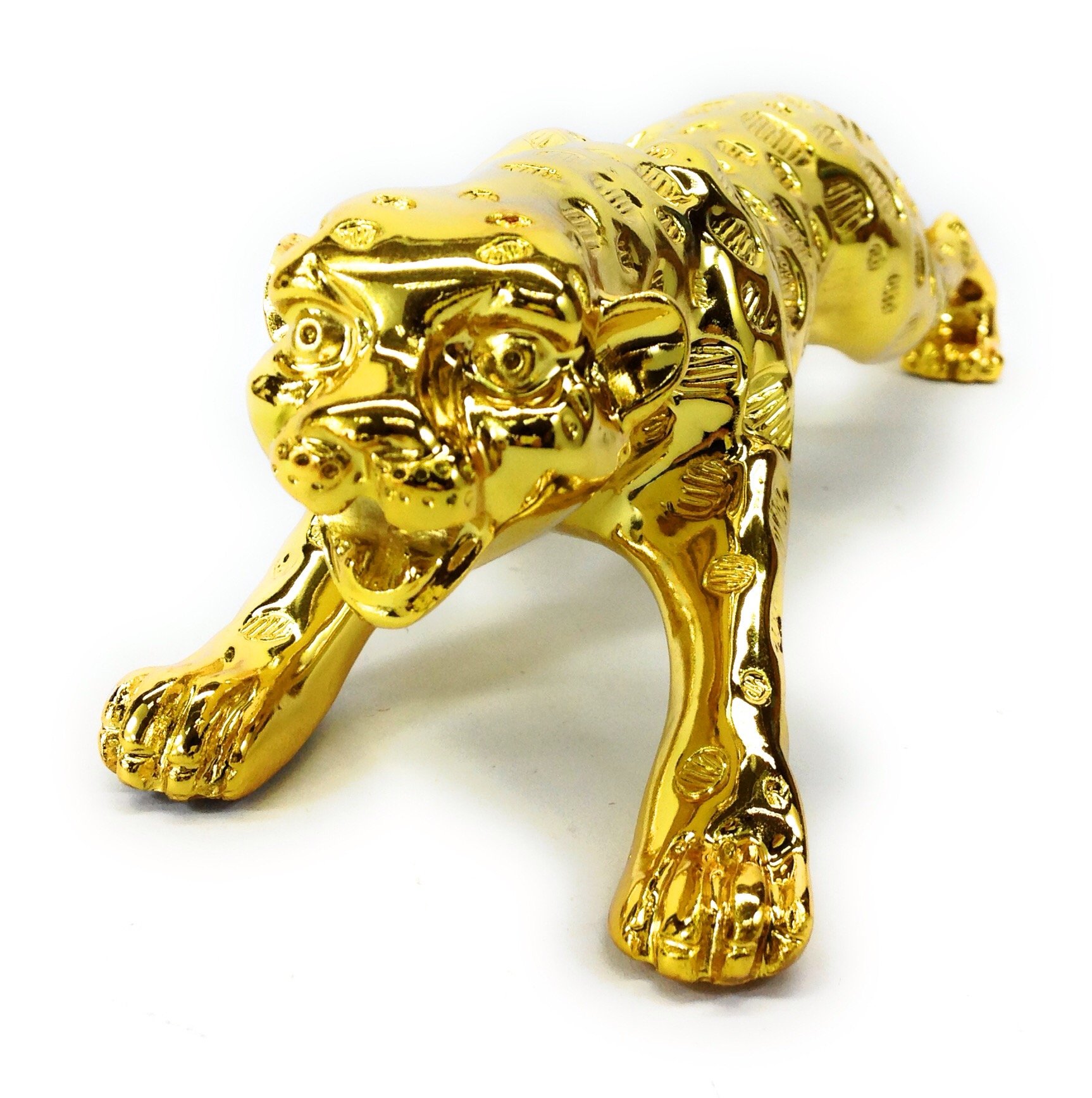 Amazon.co.jp: 【ノーブランド品】 美しい 輝き 躍動感 溢れる