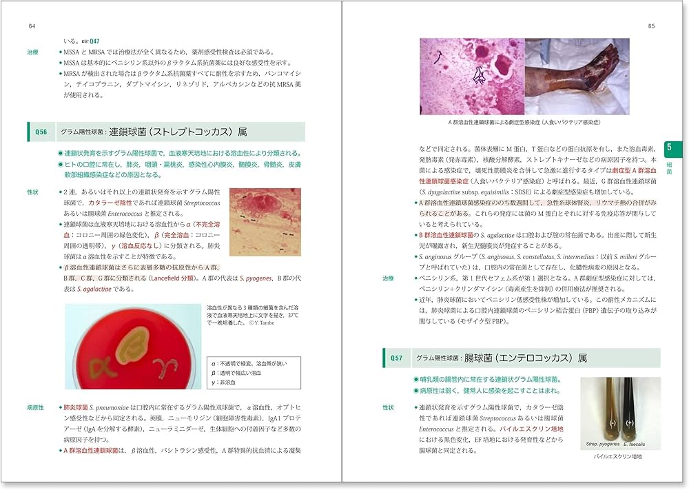 新微生物学 (Qシリーズ) | 舘田 一博, 松本 哲哉, 岩田 敏, 槇村 浩一