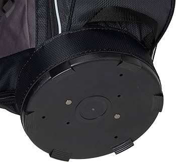 Amazon | MIZUNO(ミズノ) ゴルフ キャディーバッグ T-ZOID ティー