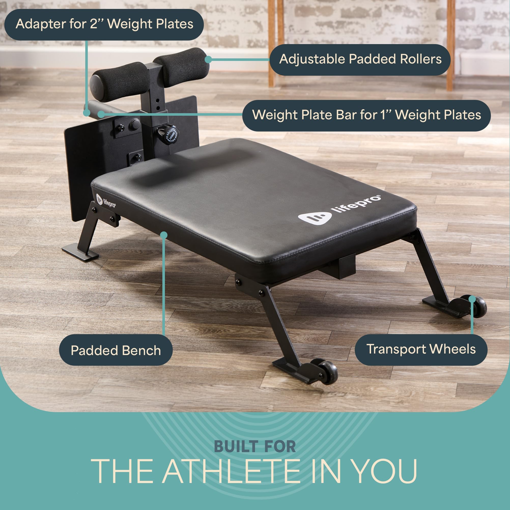 Amazon.co.jp: Lifepro ノルディックカールワークアウトベンチ