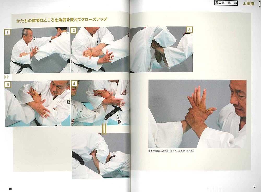 少林寺拳法 柔法のコツ 〈DVDでよくわかる!〉 | SHORINJI KENPO UNITY