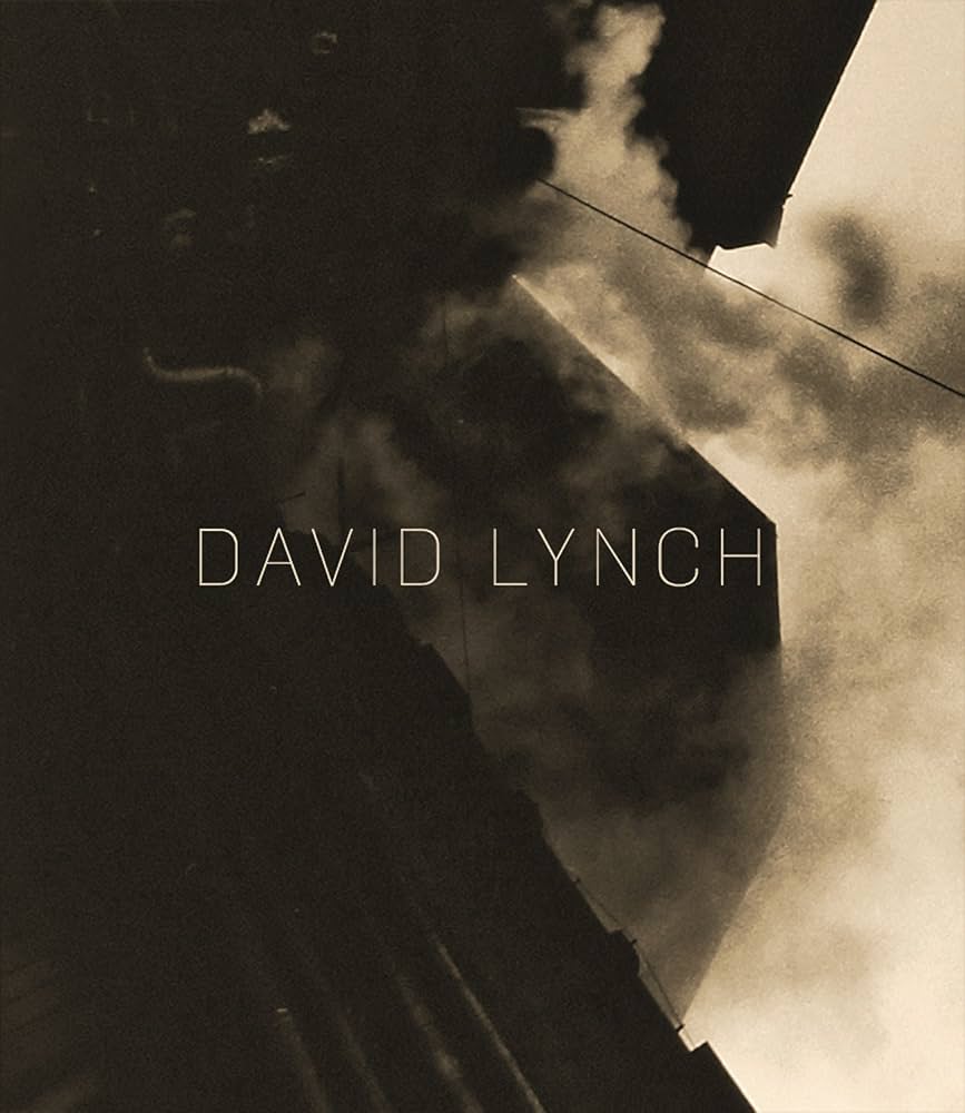 Amazon.com: David Lynch: The Factory Photographs: 9783791353333