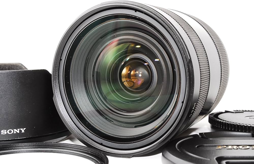 Amazon.co.jp: SONY 標準ズームレンズ Vario-Sonnar T* 24-70mm F2.8