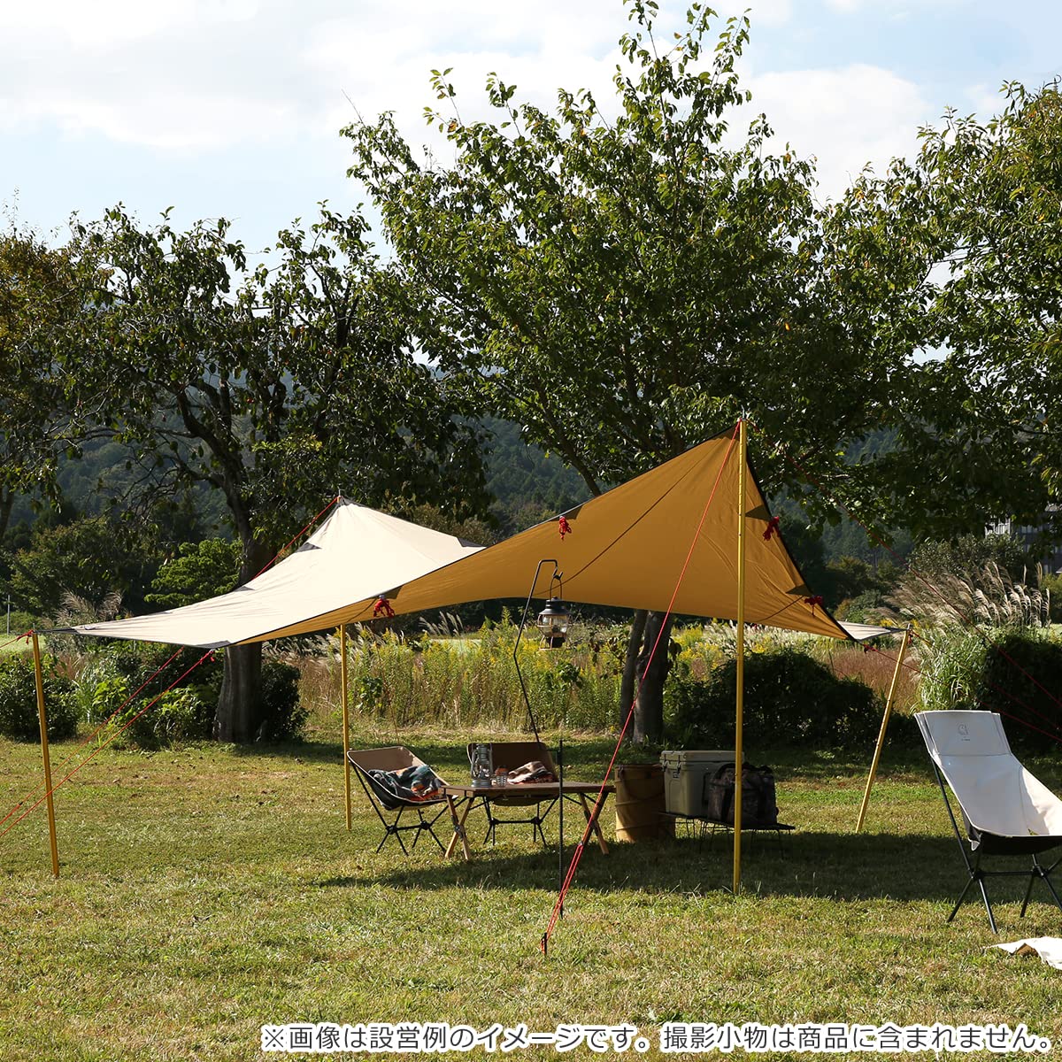 Amazon | [ ローベンス ] Robens タープ 4 × 4m アウトバック シリーズ