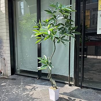 Amazon｜Yuwinron 人工観葉植物 フェイクグリーン 観葉樹 造花 光触媒