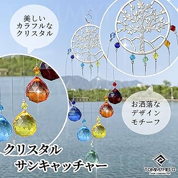 81us5tdV4bL._AC_UF350,