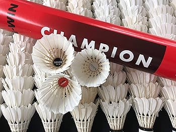 Amazon | バドミントン 中古シャトル 120個 頑張らない ガンバラナイ