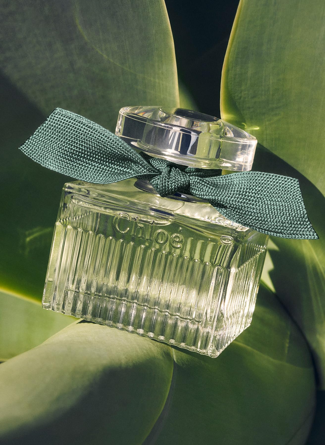 Amazon.com : Chloe Rose Naturelle Intense by Chloe for Women - 3.3