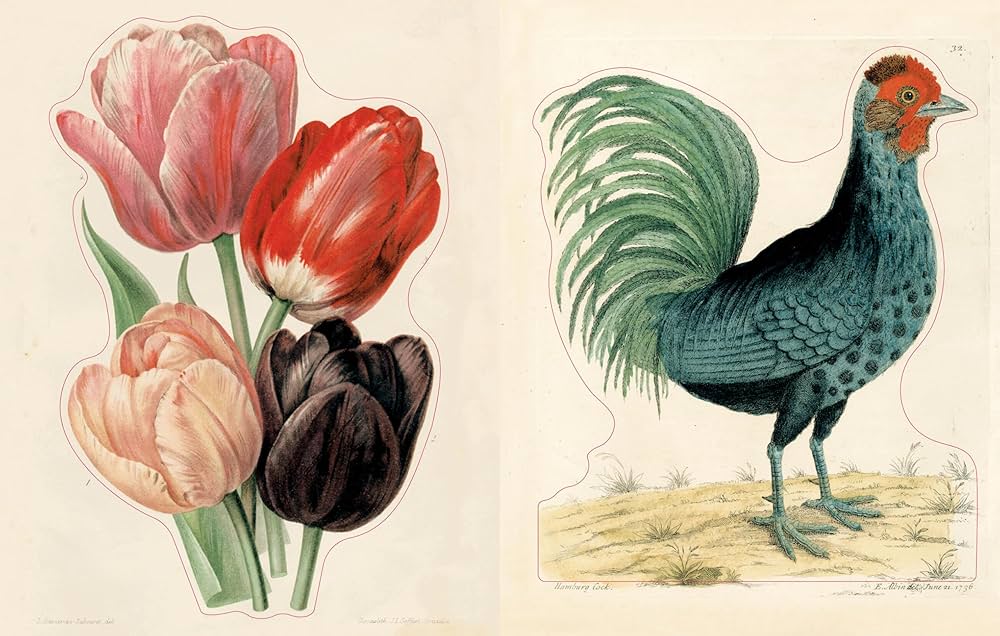 81vunrS4GIL._AC_UF1000,