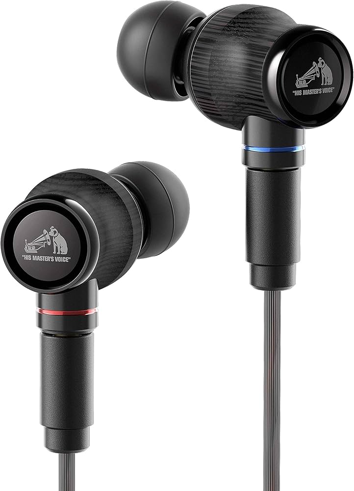 Amazon.co.jp: JVCケンウッド Victor JVC HA-FW1500 WOODシリーズ 密閉