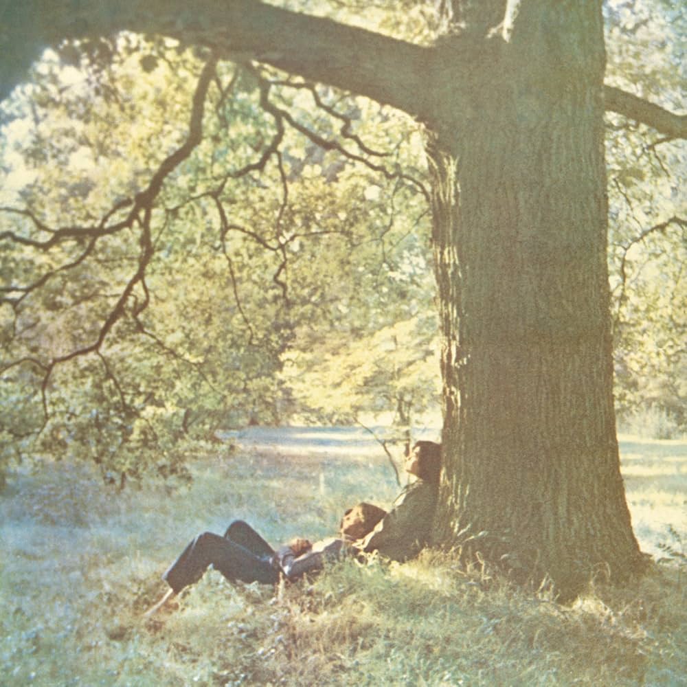 John Lennon / Plastic Ono Band: Amazon.com.tr