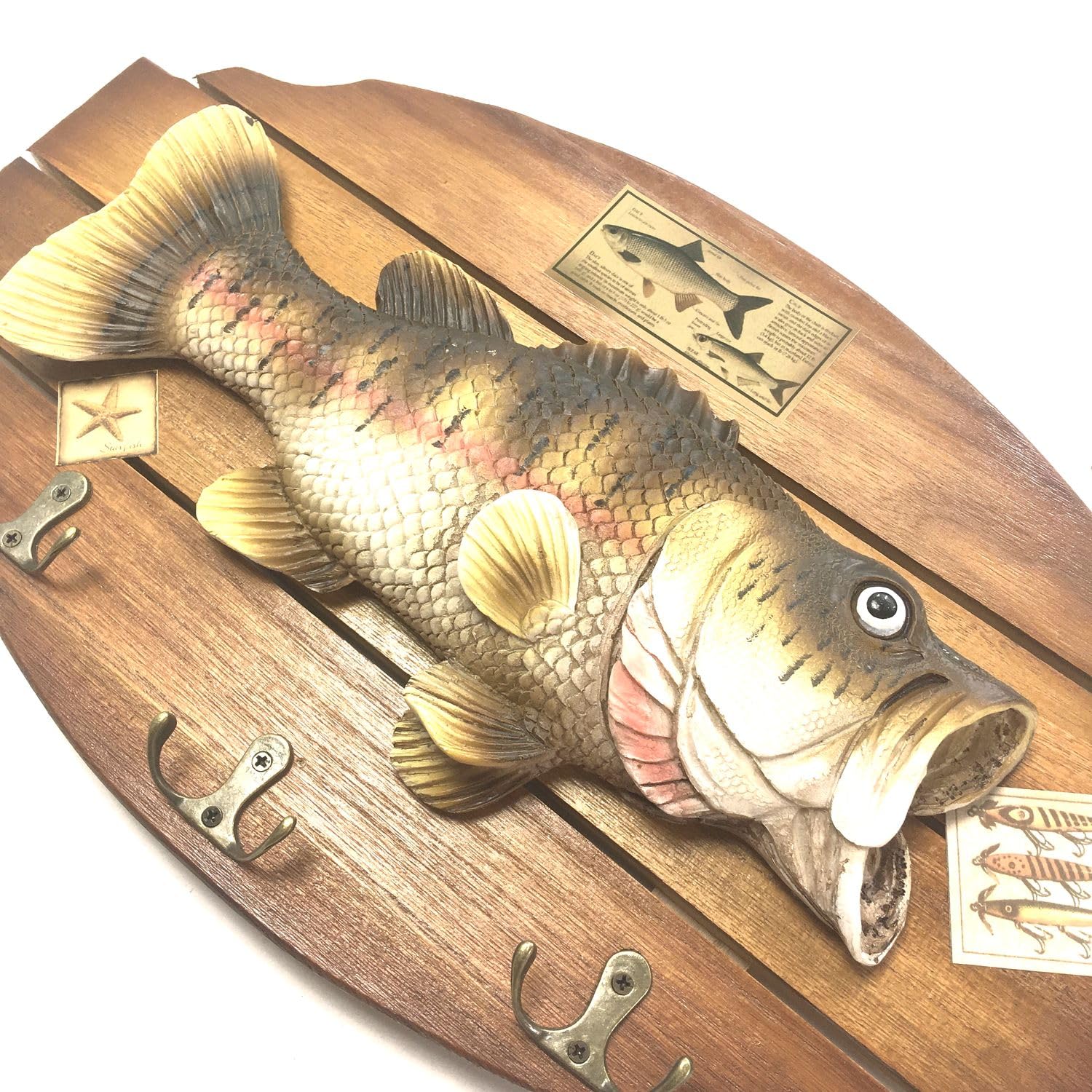 Amazon.co.jp: ブラックバス 壁掛け (40cm×24cm) レプリカ 模型