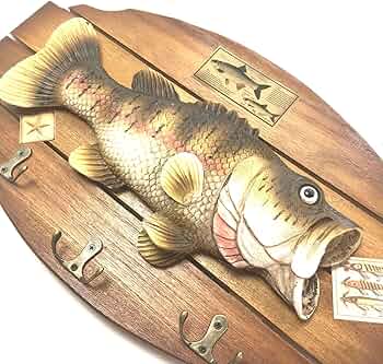 81wfngLgKIL._AC_UF350,