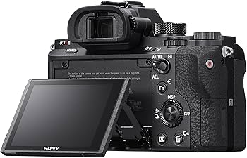 Amazon.com : Sony a7R II Full-Frame Mirrorless Interchangeable