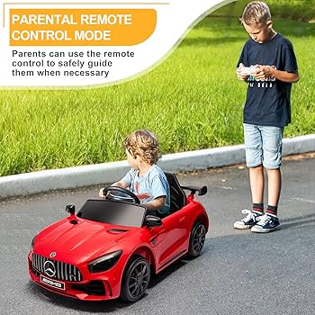 81wtZ811DqL._AC_UF350,