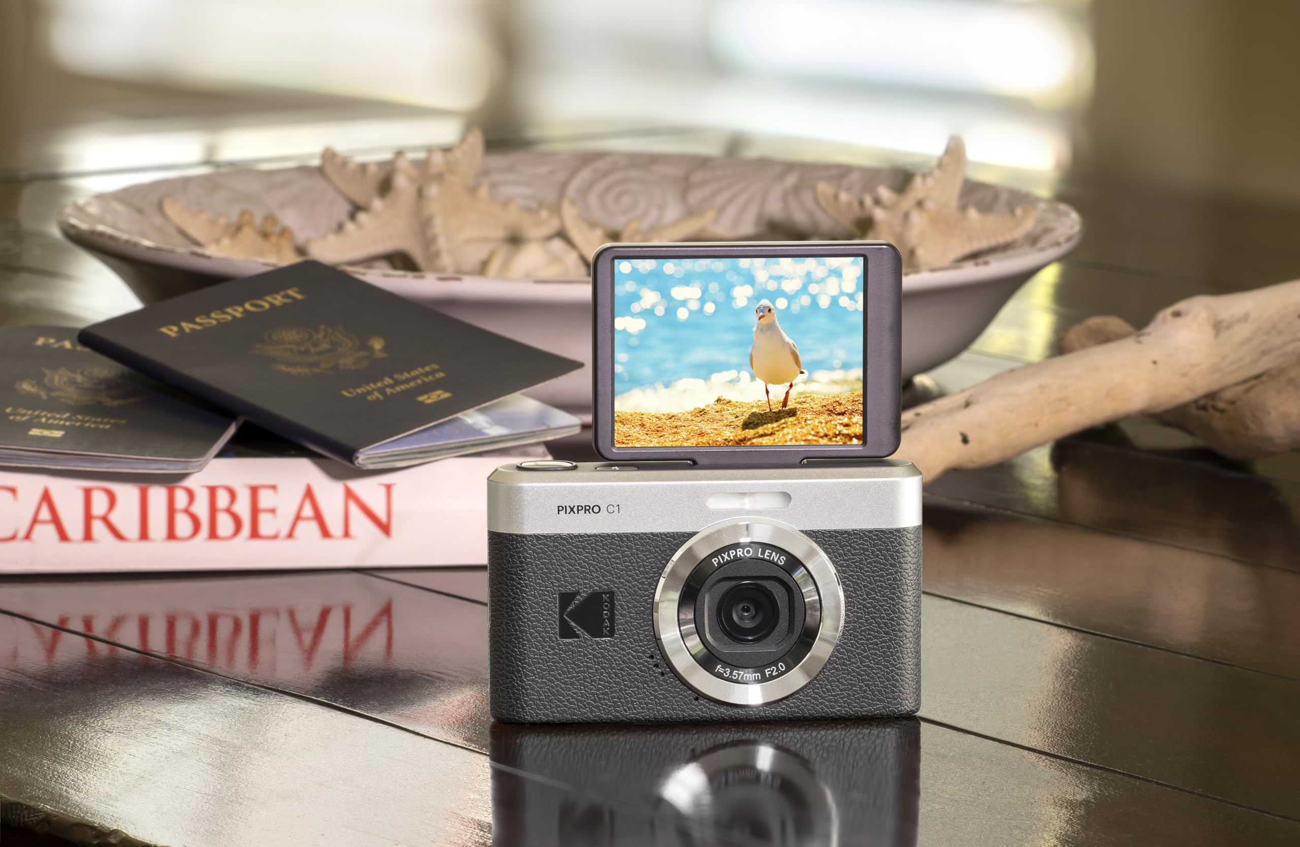 Amazon.com : Kodak PIXPRO C1 Friendly Zoom Digital Camera - 13MP