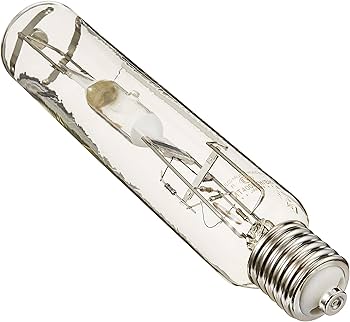 81yvxkxDVXL._AC_UF350,