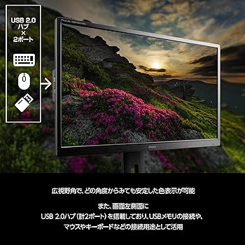 Amazon.co.jp: iiyama モニター ディスプレイ 23.8インチ フルHD VA