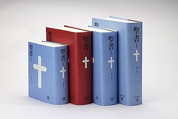 聖書 新改訳 中型スタンダード版えんじ BI-20E (いのちのことば社