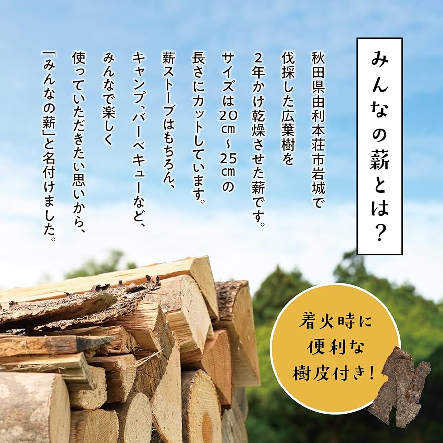 81zOSXJh9KL._AC_UF894,