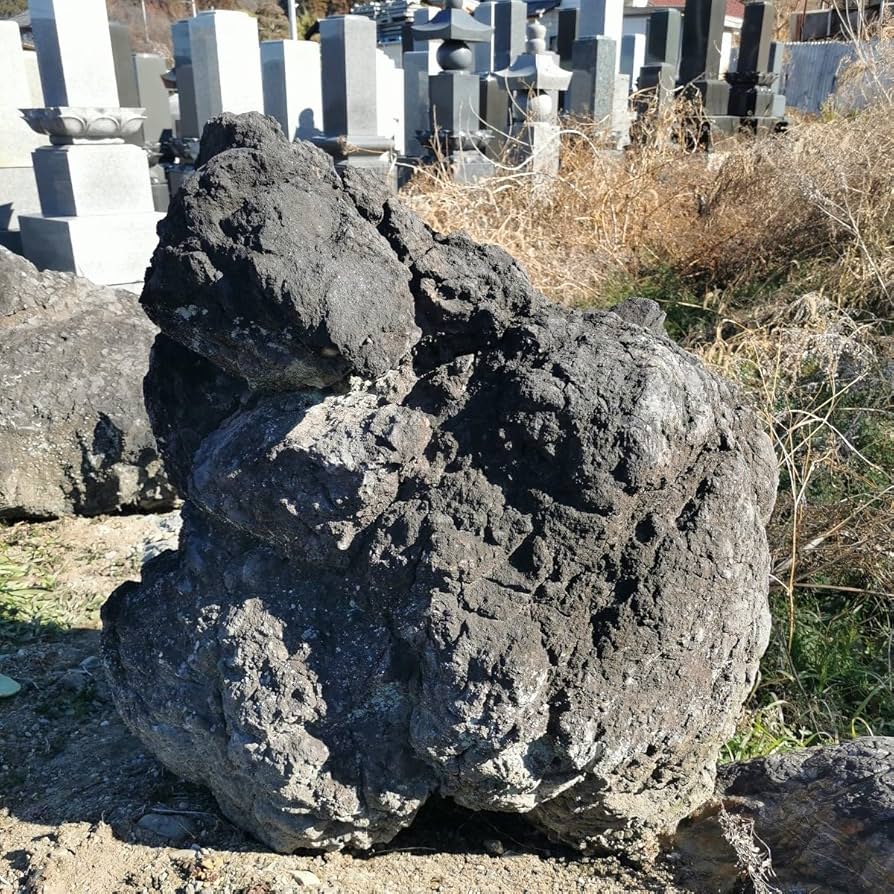 Amazon.co.jp: 浅間溶岩石166キロ庭石鑑賞石石盆石水石灯籠庭坪庭盆栽