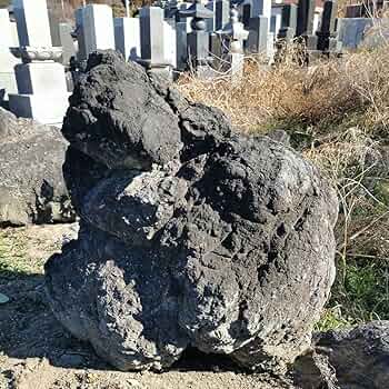 81zOYtdr9aL._AC_UF350,